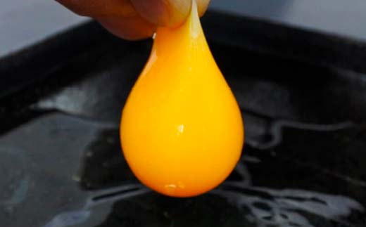 ＜定期便＞【Mサイズ 45個×12ヶ月コース】45個（40個＋割れ補償5個） 安心・安全な『下川六〇酵素卵』を毎日の食卓に！ 下川ろくまる あべ養鶏場 割れ補償付き ブランド卵 たまご 玉子 タマゴ 