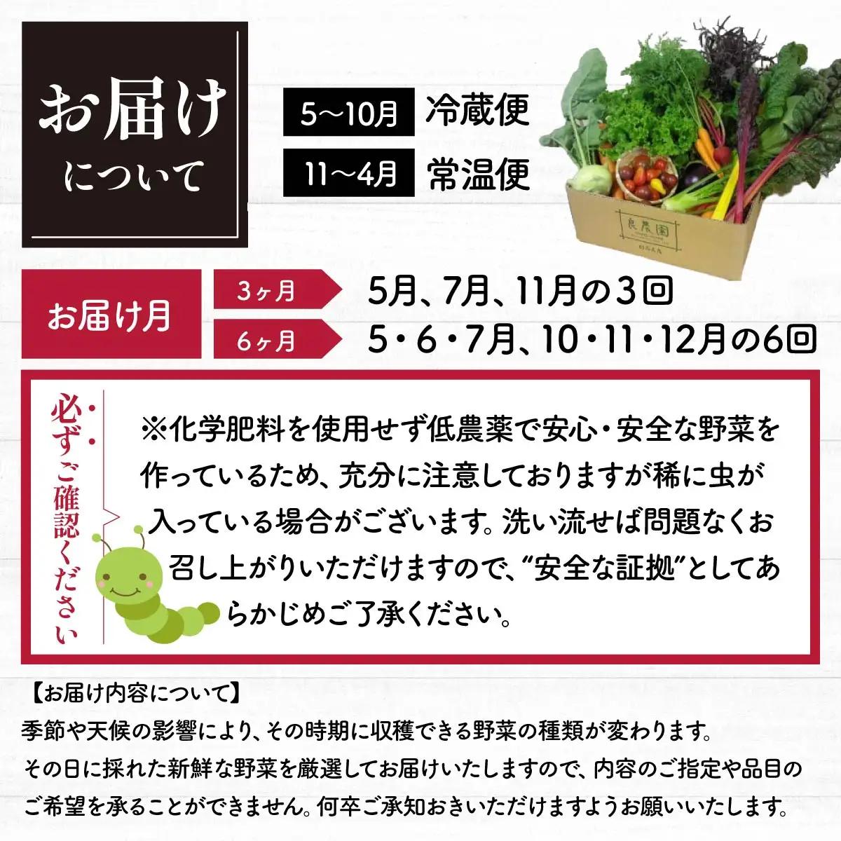 西洋野菜 一般野菜 旬野菜セット 8～10品 定期便 3ヶ月 | やさい