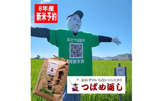 【令和8年産米予約受付中】おかずのいらないコシヒカリ「つばめ返し」白米20kg FC053004