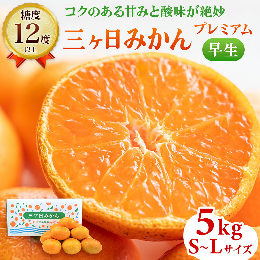 【ふるさと納税】三ヶ日みかん プレミアム 早生 5kg S～Lサイズ混在 12月上旬より順次発送 みかん ミカン 蜜柑 早生みかん 三ヶ日 果物 くだもの フルーツ 旬の果物 旬のフルーツ 柑橘 柑橘類 糖度 静岡 静岡県 浜松市　お届け：2025年12月上旬～2025年12月中旬