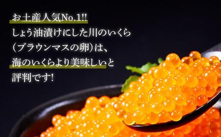 「信州サーモンのお刺身」（100g×2ケ）と「川のいくら（ブラウンマスの卵）のしょうゆ漬け」（100g×2ケ）セット