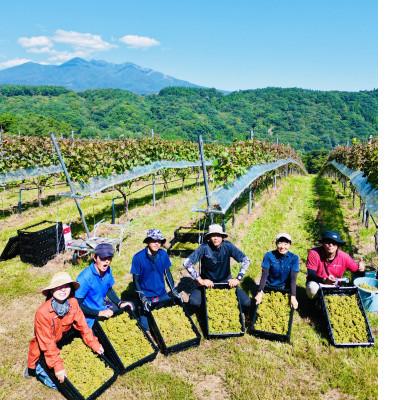 ふるさと納税 韮崎市 淡路結 シャルドネ&花菱 メルロー&カベルネ・ソーヴィニヨン　750ml×計2本セット |  | 03