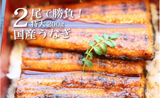 
★2尾で勝負！ふんわり手焼き国産うなぎ（約200g）×2尾★隠し味の赤穂の天塩も効いてます！
