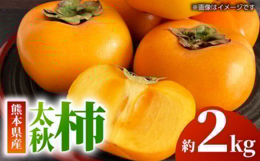【先行予約】【数量限定】太秋 柿 約2kg【くまふる】 [ZBG015]