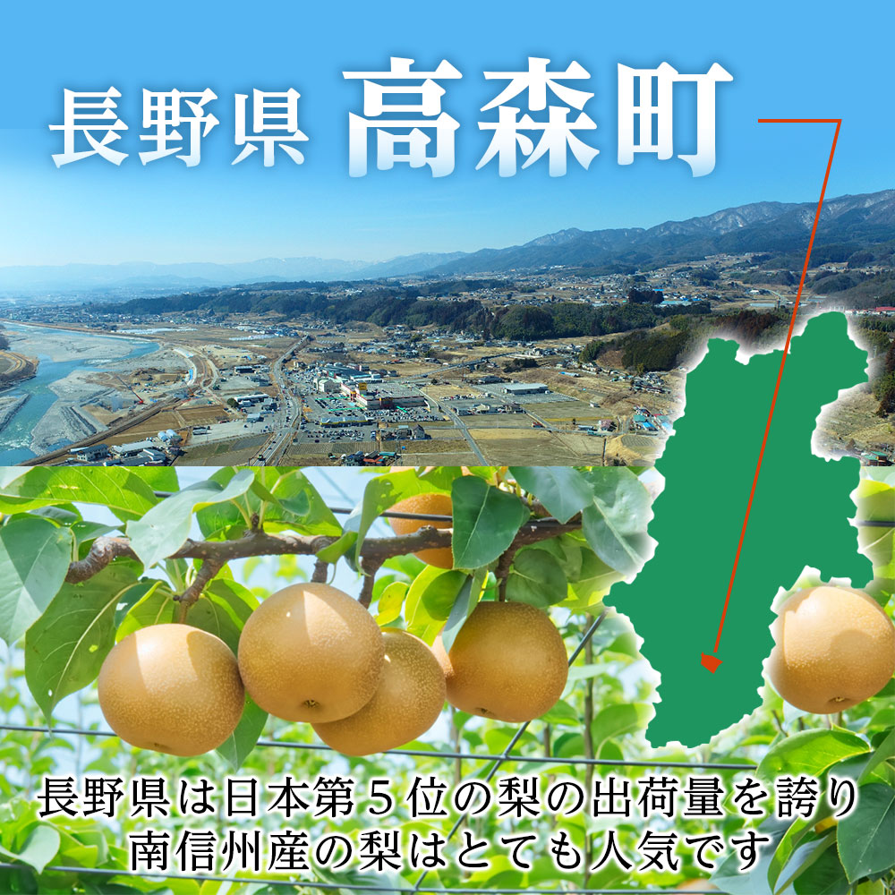 【長野県産】果汁たっぷりで甘～い梨（南水）約5kg 秀品 ＜2026年9月中旬から発送＞ 信州 南信州 高森町 産地直送 果物 くだもの なし ナシ 和梨 旬 旬の果物 旬の梨 なんすい 山下屋荘介
