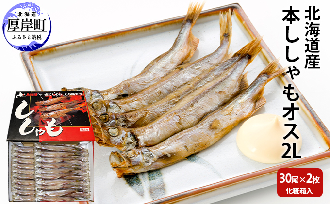 北海道産 本ししゃも オス2Lサイズ 30尾×2枚 化粧箱入 (合計60尾入り)