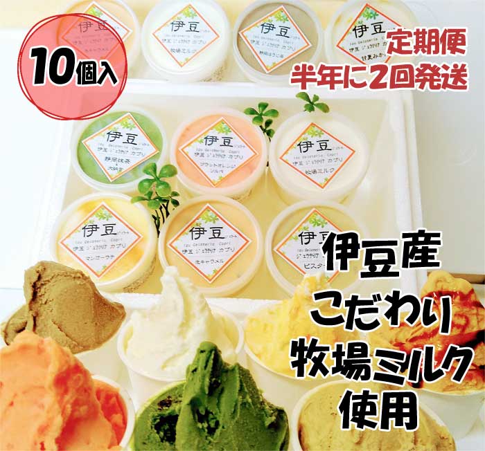 G2*【ふるさと納税】【定期便 全2回】伊豆産 低温殺菌ミルクのこだわりジェラート プレミアム入り10個セット プレミアム入りカプリおまかせ10個セット(7種類以上) 半年に2回発送