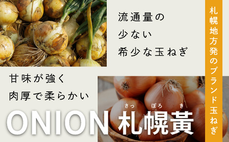 【先行予約】幻の玉ねぎ！札幌黄（さっぽろき）5kg [a168-010] たまねぎ 玉葱 タマネギ 国産 まとめ買い 業務用 贈り物 野菜 美味しい 送料無料 新鮮野菜 健康 和食 レストラン 国産野