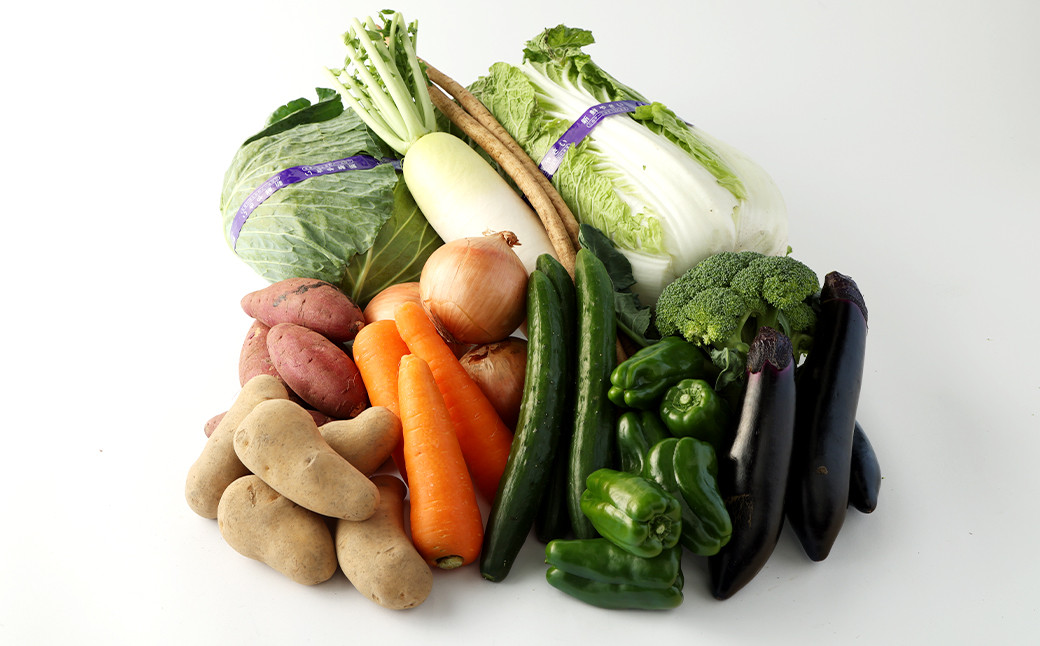 【3ヶ月定期便】生産者応援 採れたて新鮮 旬のお野菜 詰め合わせセット