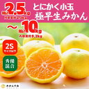 【ふるさと納税】小玉みかん 極早生 箱込2.5～10kg 2Sサイズ以下 秀品 優品 混合 有田みかん 和歌山県産 【みかんの会】　