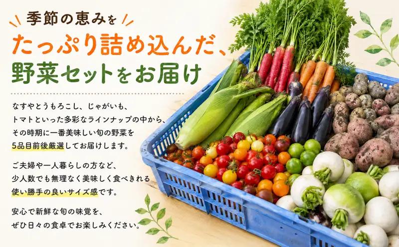 安芸野菜（全10種5品目前後）【野菜】CA001
