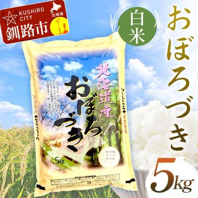 ふるさと納税 釧路市 【令和7年産】おぼろづき 5kg 白米 北海道産 米 こめ お米 F5F-0163