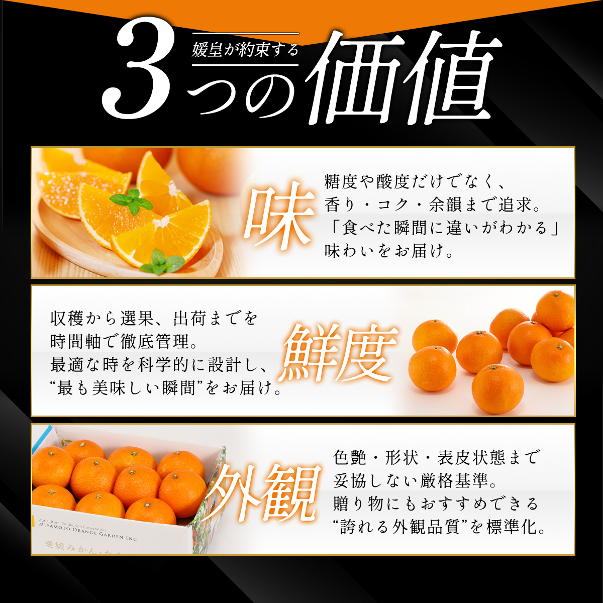 【先行受付】最高級みかん 媛皇 媛小春 7kg 愛媛県 八幡浜市 希少な幻の柑橘 黄色【H25-322】【1714067】 YWTAP263