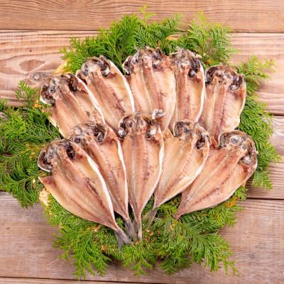 ふるさと納税 松浦市 松浦・潮風のたより　アジ昆布出汁10枚入り