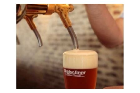 ビール お酒 酒 クラフトビール / ナギサビールの定番商品2種（330ml×30本）飲み比べセット【ngs004】