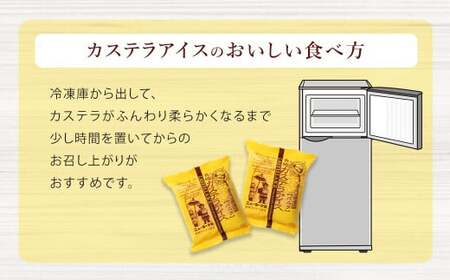 バラエティ番組出演 長崎カステラアイス (バニラ) 計10個  ／ ニューヨーク堂 カステラアイス カステラ アイス デザート スイーツ お菓子 おやつ 冷凍 人気 ご当地 お取り寄せ 長崎 長崎県 