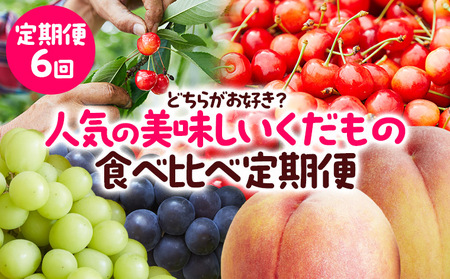 【定期便6回】どちらがお好き？人気の美味しいくだもの食べ比べ定期便 【令和7年産先行予約】FS23-772 くだもの 果物 フルーツ 山形 山形県 山形市 2025年産