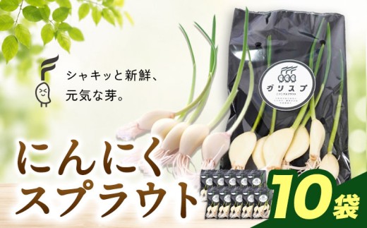 にんにくスプラウト10袋セット 野菜 ガーリック スプラウト 栄養 料理 詰め合わせ 株式会社ANELA GROW《30日以内に出荷予定(土日祝除く)》
