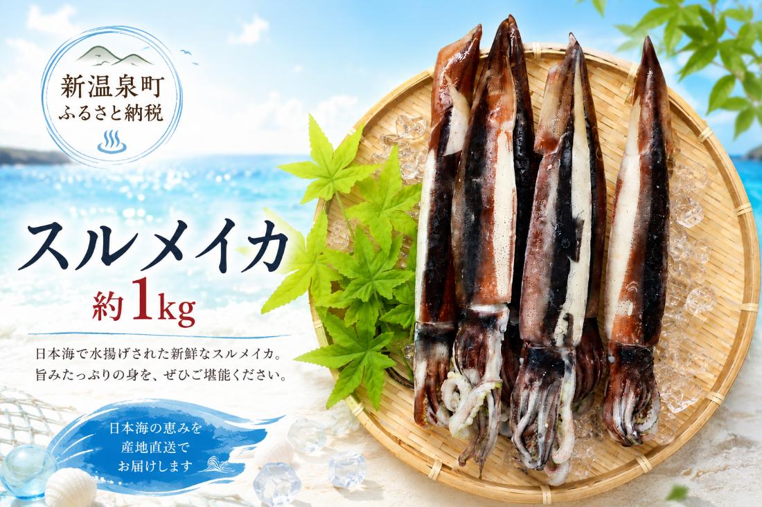 スルメイカ　2杯×3　約1kg