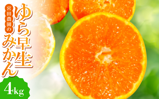 
            ＜ゆら早生＞宮田農園の温州みかん　4kg【1353531】
          