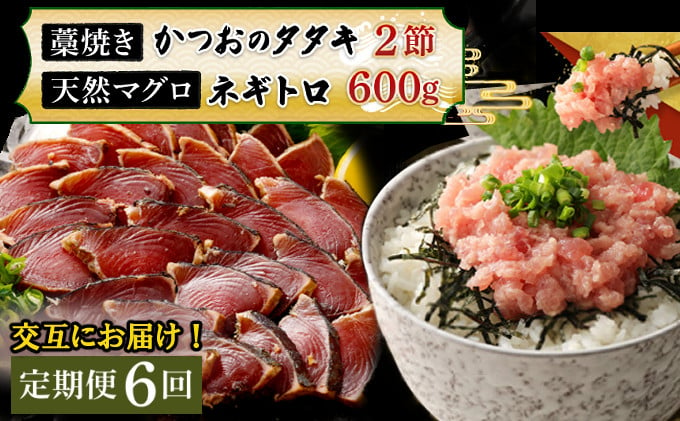 
【交互定期便 / ６ヶ月連続】 土佐流藁焼きかつおのたたき２節と高豊丸ネギトロ６００ｇ 魚介類 海産物 カツオ 鰹 わら焼き 高知 コロナ 緊急支援品 海鮮 冷凍 家庭用 訳あり 不揃い 規格外 連続 ６回 小分け 個包装 まぐろ マグロ 鮪 交互
