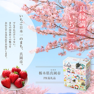 遊びにおいでよもおか！真岡市オリジナルBOXティッシュ60箱（1箱300枚150組）