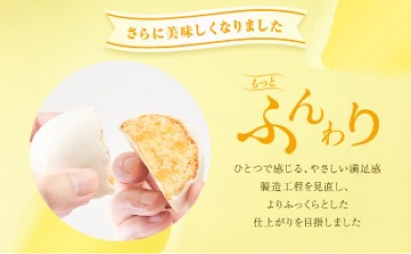 お菓子 【フランセ】 レモンケーキ  1箱4個入×6セット スイーツ ケーキ 個包装 洋菓子 菓子 おかし おやつ デザート レモン チョコレート 静岡 浜松【冷蔵配送】