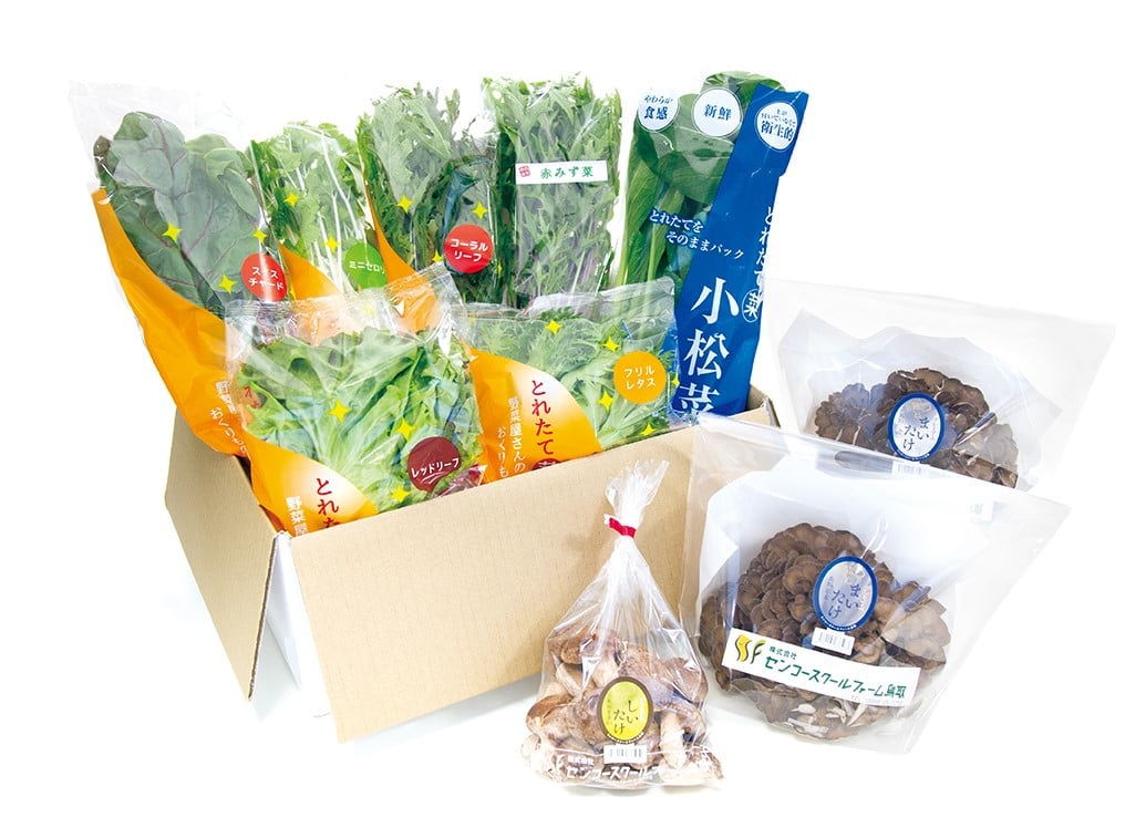 
            126K.ザ･プレミアム･きのこと採れたて野菜セット
          
