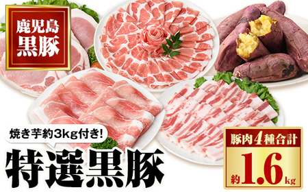 【C02043】特選黒豚セット(計約1.6kg)紅はるか焼き芋(約3kg)付き！鹿児島 国産 九州産 黒豚 バラ カルビ モモ 切り落とし 肩ロース しゃぶしゃぶ用 ロース 焼いも 焼き芋 セット【和田養豚】