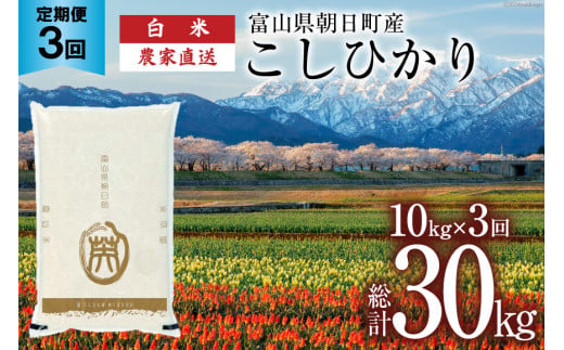 【3ヶ月定期便】米 こしひかり 精米 10kg 計30kg [有限会社 クリーンみず穂 富山県 朝日町 34310449] お米 コシヒカリ コメ ご飯 ごはん 白米 農家 直送 一等米