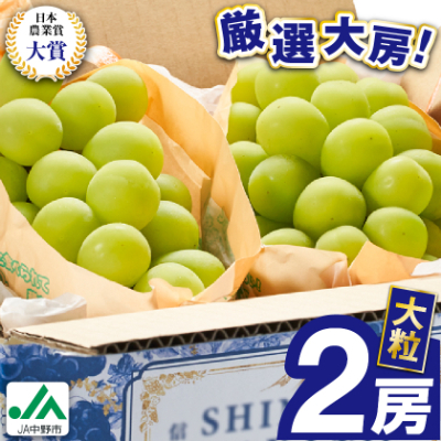 2026年先行予約　9月上旬～10月下旬発送JA中野市大粒 大房シャインマスカット2房1.3kg以上【配送不可地域：離島】【1459211】