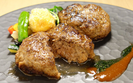 【数量限定】熊本 和牛 あか牛 100％ ハンバーグ 約120g×6個【有限会社 三協畜産】[AYCQ001]