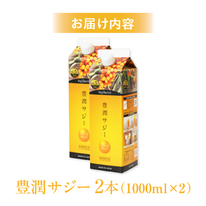 ジュース サジー ジュース[1000ml 2本 紙パック]