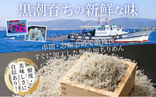 KU095 漁師の獲れたてちりめん 計1.12kg(160g×7袋)鮮度と美味しさに自信！ 海の幸【株式会社猪塚水産】