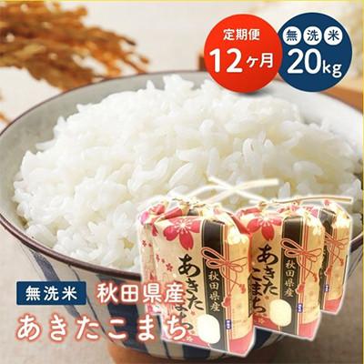 ふるさと納税 潟上市 【毎月定期便】秋田県産あきたこまち 無洗米 20kg(5kg×4袋)全12回
