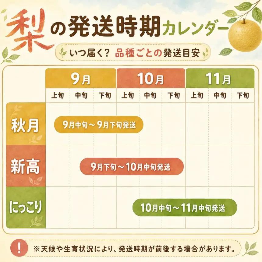 梨 新高 訳あり品 5kg 【栃木県共通返礼品】栃木県産