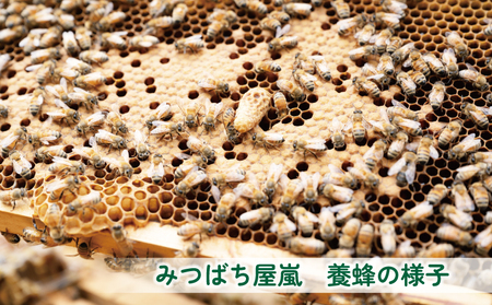 国産純粋はちみつ 嵐 の はちみつ 天然 100％ 宇和島 百花蜜 みつばち屋嵐 非加熱 蜂蜜 人気 国産蜂蜜 天然蜂蜜 天然はちみつ 百花蜂蜜 百花はちみつ ピュア ハニー パン ジャム 国産 愛媛