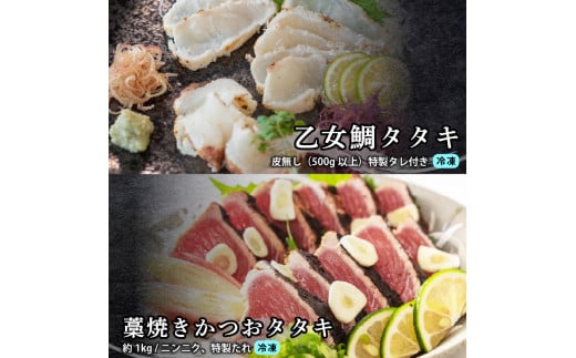 刺身 定期便 3ヶ月 お好きなお魚が選べる！ 小島水産 産地直送 3回 新鮮 かつおタタキ 真鯛 ブリ 刺身 乙女鯛 乙女ブリ 藁焼き かつお タタキ タイ 鯛 たい 鰤 鰹 かつおのたたき タタキ 