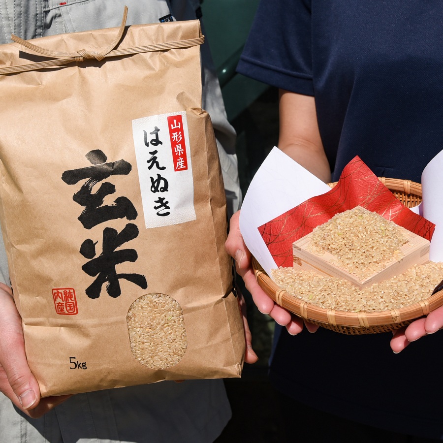 【令和7年産新米】＜ジオンジファーム＞はえぬき玄米10kg（5kg×2袋）