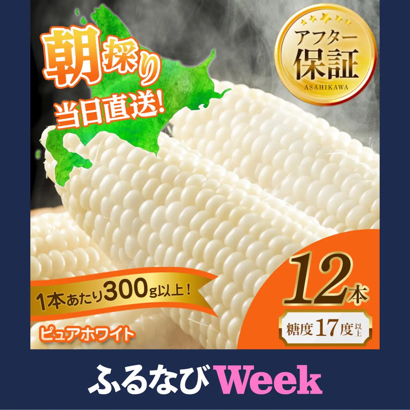 【先行予約】白いとうもろこしピュアホワイト 12本 3.6kg（2026年8月下旬から発送開始） とうもろこし