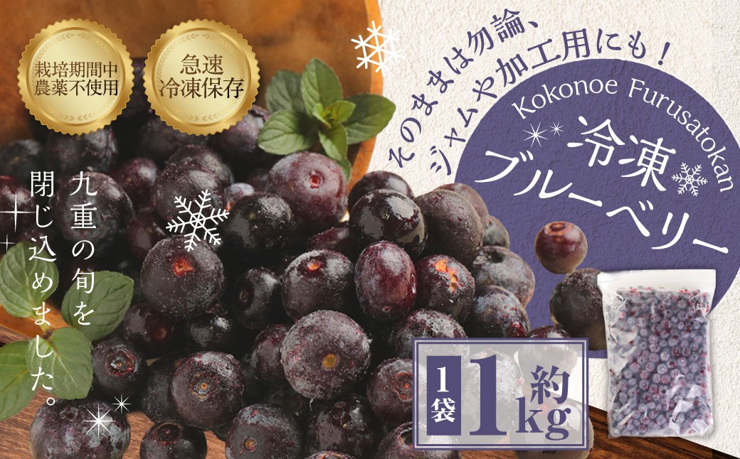
            九重町産 冷凍 ブルーベリー 約1kg (1kg×1袋)  果物 フルーツ 冷凍フルーツ 冷凍果物 大分県 九重町産 
          