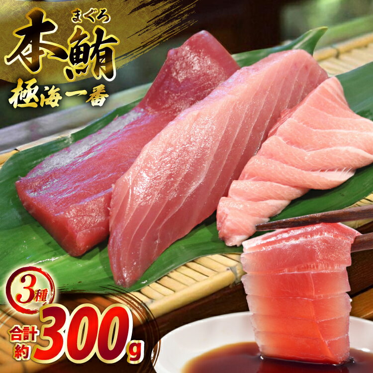 【ふるさと納税】マグロ 切り身 極海一番 3種 セット 計300g 食べ比べ 詰め合わせ [囲炉裏料理エビス亭 長崎県 平戸市 hr42bgy390056] まぐろ 刺身 料亭 赤身 中とろ 大トロ 柵 おつまみ 冷凍 高級 寿司 すし