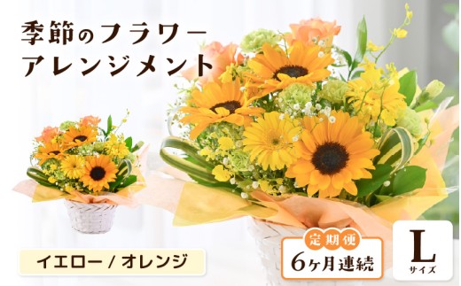 定期便 ≪6ヶ月連続お届け≫ 選べるカラー 季節のフラワーアレンジメント L (イエロー・オレンジ) 【お花 フラワー アレジメント 花束 ギフト 生花 プレゼント 花束 花 記念日 敬老の日 お祝い】 [K-20701_02]
