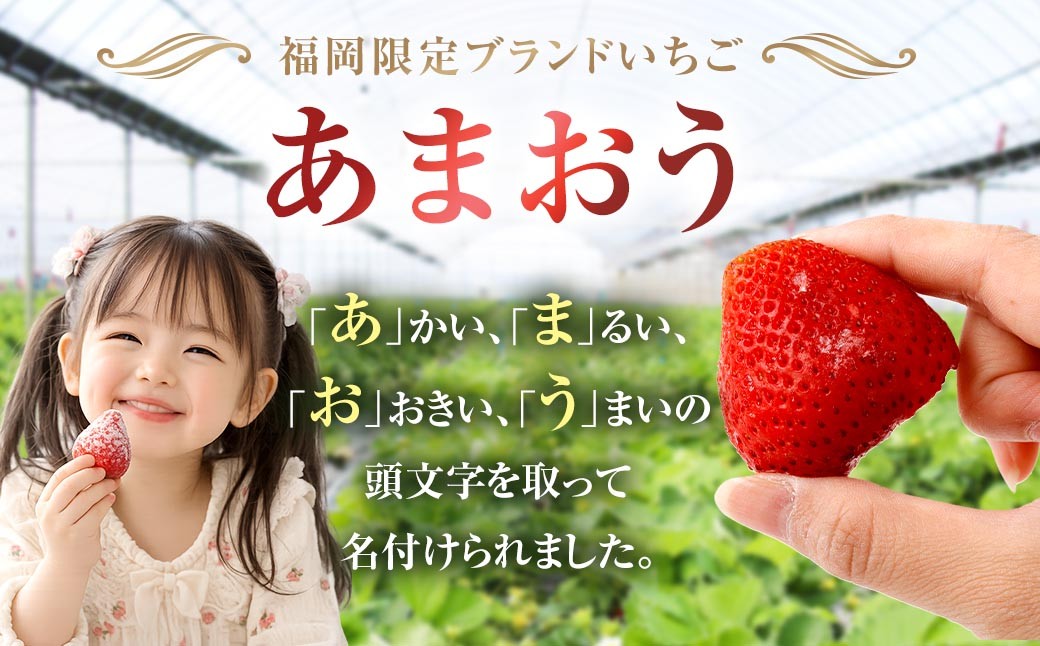 【特別栽培】うるう農園 冷凍あまおう 2kg
