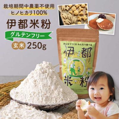 ふるさと納税 糸島市 伊都 米粉 玄米 250g フルタク グルテンフリー 米 [AHN004] | 