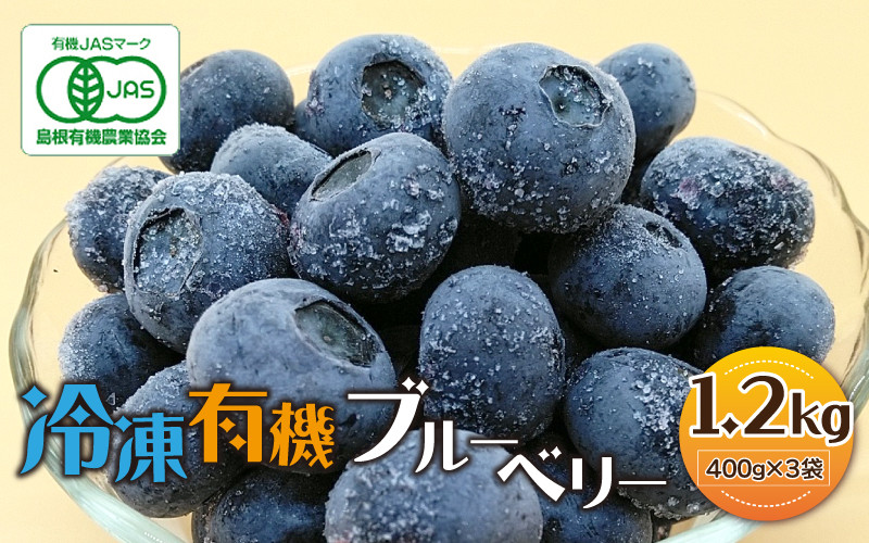 
                  冷凍 有機ブルーベリー 1.2kg（400g×3袋）
                