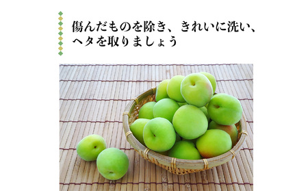 有機栽培　梅干し手作りセット｜果実 かじつ カジツ 梅 うめ ウメ 梅干し うめぼし 奈良県 五條市 健康 梅干し 梅仕事 約3.5kg 南高梅 梅酢 もみしそ 天然塩