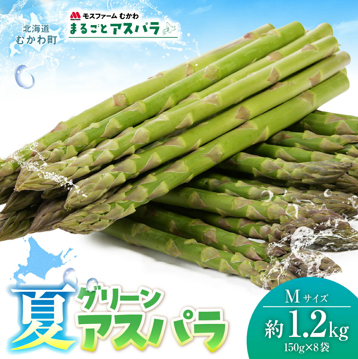 【ふるさと納税】北海道産 朝採り 夏アスパラ Mサイズ 約1.2kg（150g×8袋） 産地直送 シャキシャキ 甘い 新鮮 太い BBQ ソテー サラダ お中元 むかわ町