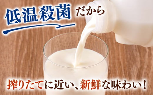 低温殺菌牛乳 ジャージー牛乳 牛乳 人気 3本セット【よこすか関口牧場】 [AKGN001]