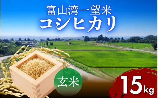 【先行予約】令和8年産 富山湾一望米　コシヒカリ 玄米 【容量15kg】[C-051001] 農家直送 米 定期便 選べる 玄米 富山県滑川産お米 産地直送 袋 ブランド米 お米 白米 こしひかり